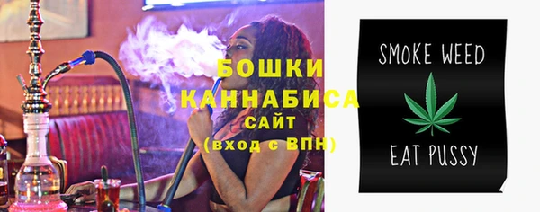 шишки Арсеньев