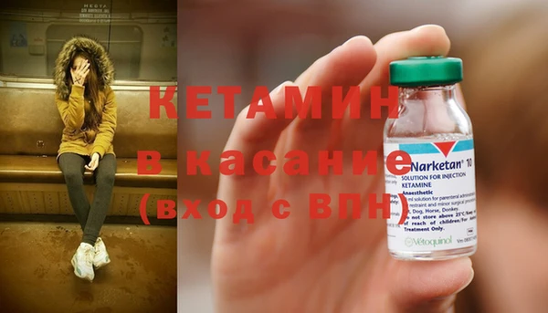 шишки Арсеньев