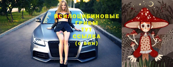 шишки Арсеньев