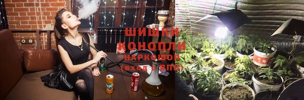 шишки Арсеньев