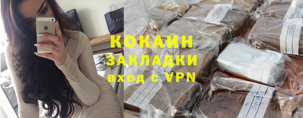 шишки Арсеньев