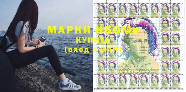 шишки Арсеньев