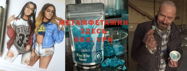шишки Арсеньев