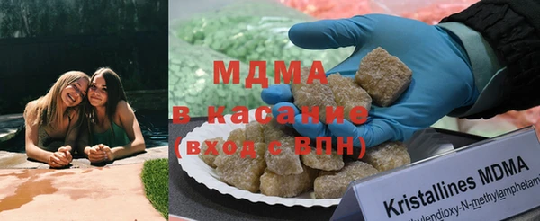 шишки Арсеньев