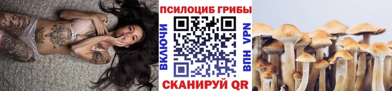Купить закладки  Дрезна  Псилоцибиновые грибы мицелий 